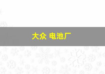 大众 电池厂